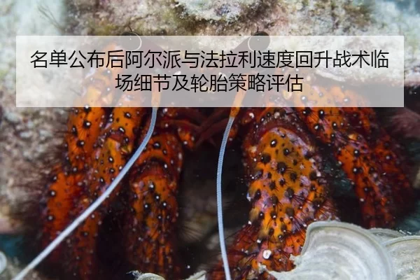 名单公布后阿尔派与法拉利速度回升战术临场细节及轮胎策略评估